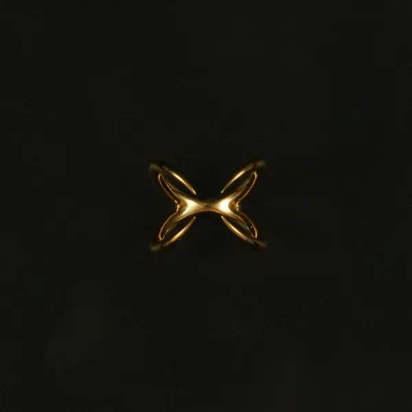 Talon Ring(タロン リング)